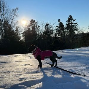 Meet your Posher, Avhiendra